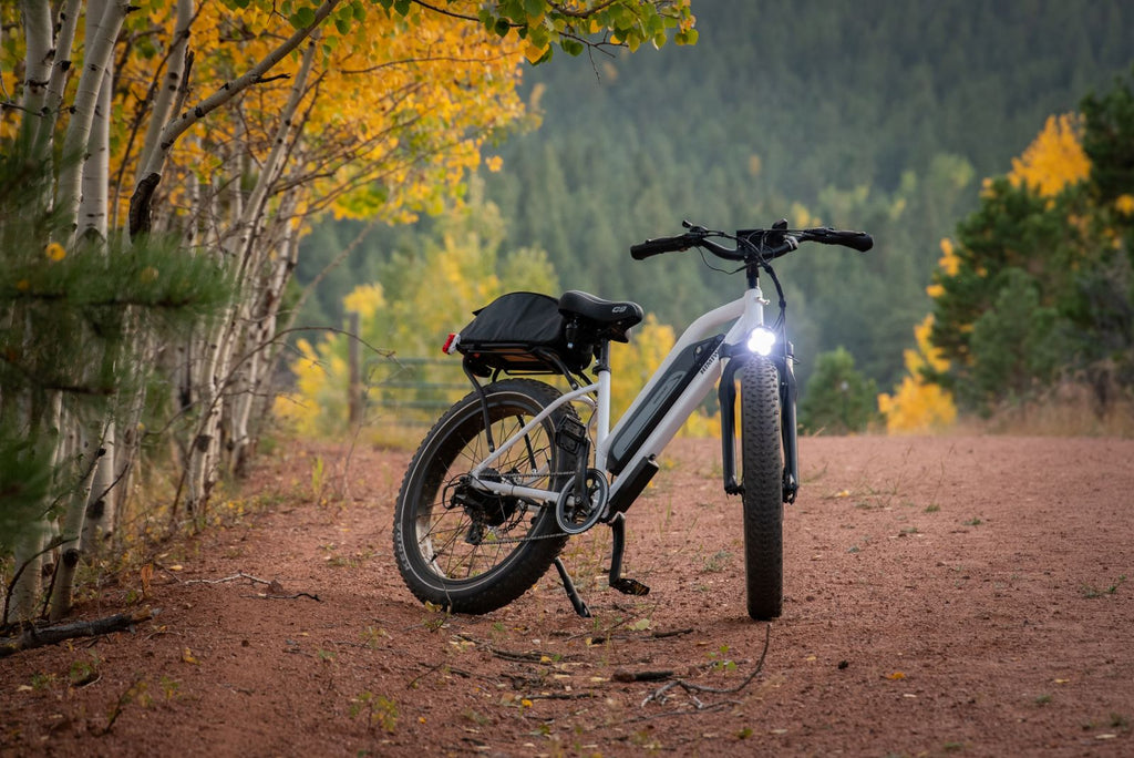 Step through electric bike | Himiway